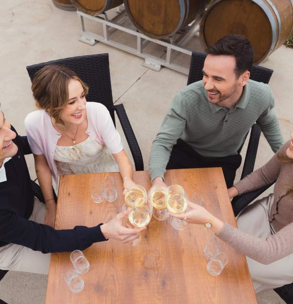 Group of friends drinking wine