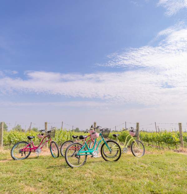 Bikes