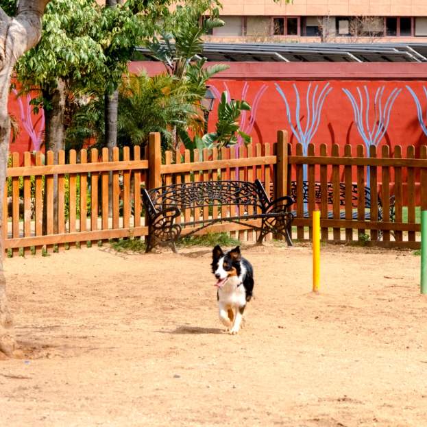 Pet friendly en Fuengirola