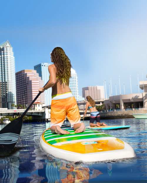 Top 17 Things to Do in Tampa Bay, Florida