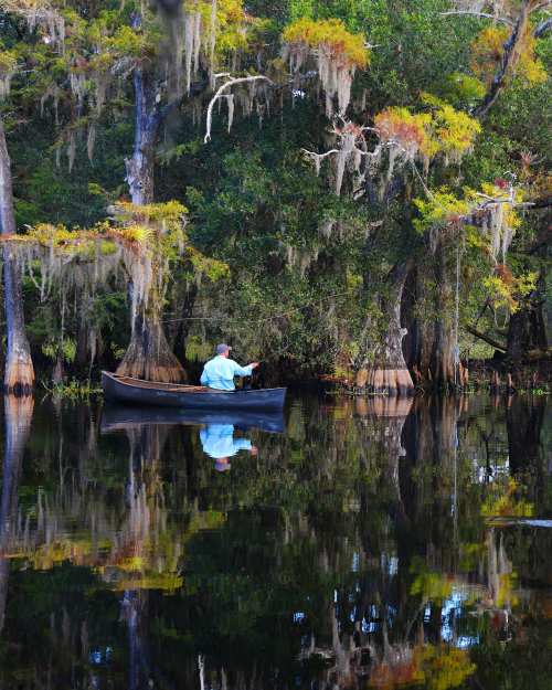 Glades County - Fisheating Creek