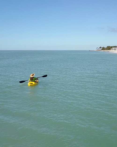Sarasota kayaker