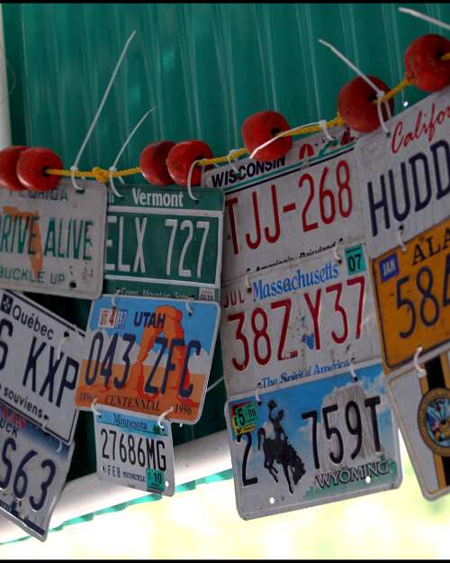 Old license plates decorate the bar at Alabama Jack's