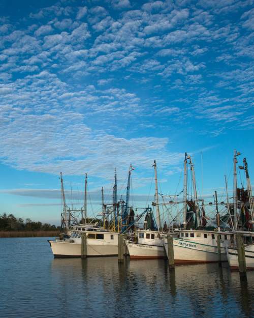 Apalachicola Florida Things To Do & Attractions in Apalachicola FL