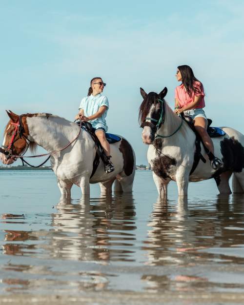 Horseback riding on Anna Maria Island beach