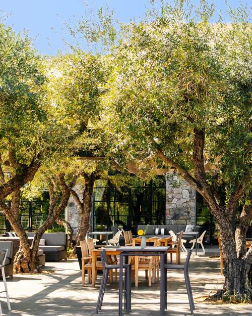 Casual outdoor dining near me 2025