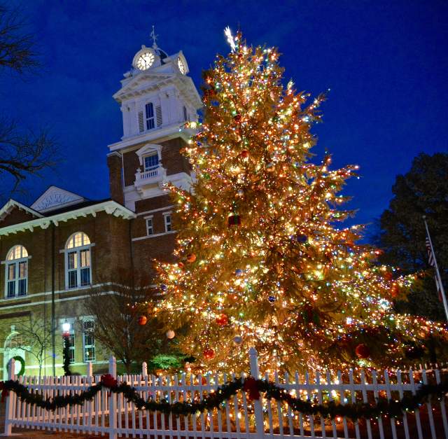 Christmas Tree Lighting