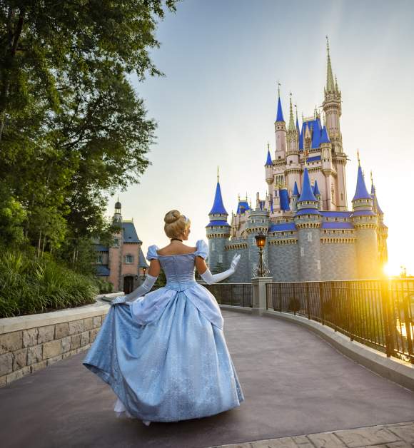 Magic Kingdom Castle Disney