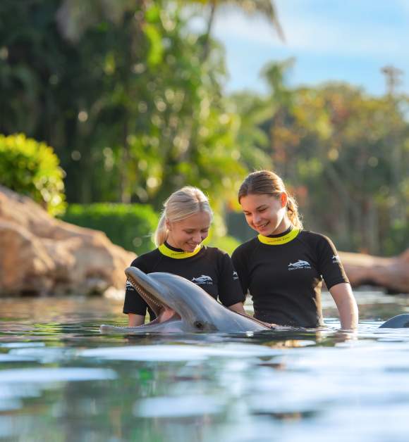 Swimming with dolphins at Discovery Cove Orlando