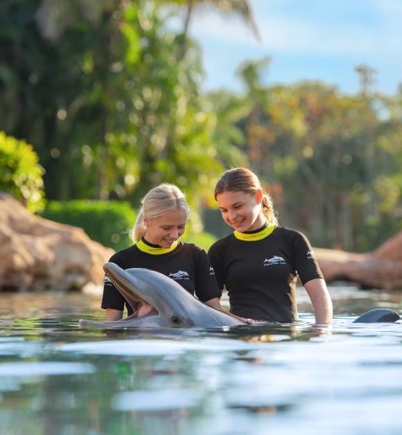 Swimming with dolphins at Discovery Cove Orlando