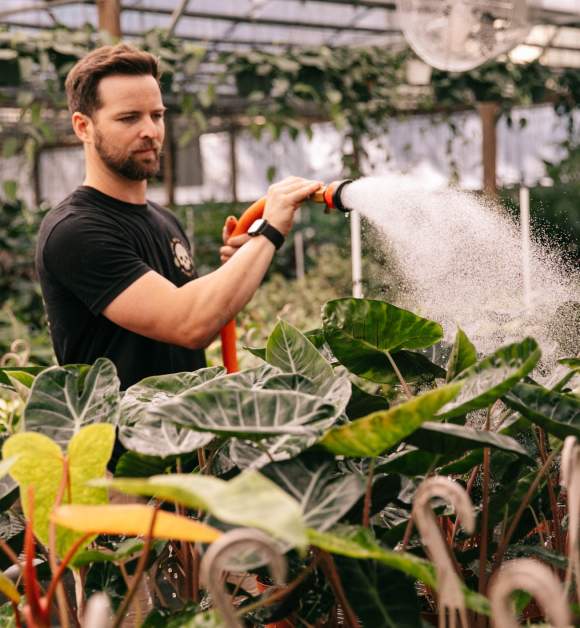 BWH Plant Co
