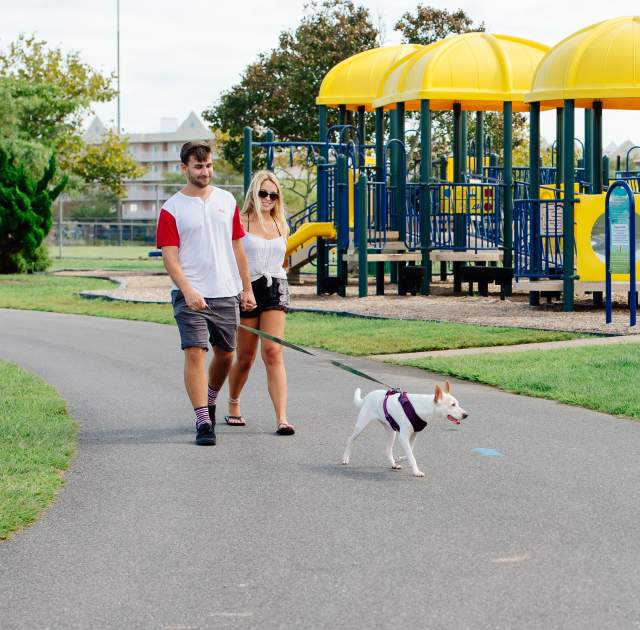 Couple walking dog in Northside Park