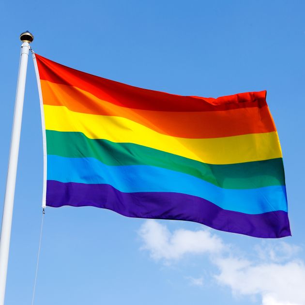 Pride flag flowing in the air.