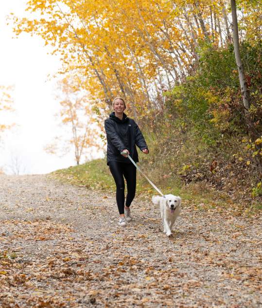 Dog Walking in Park