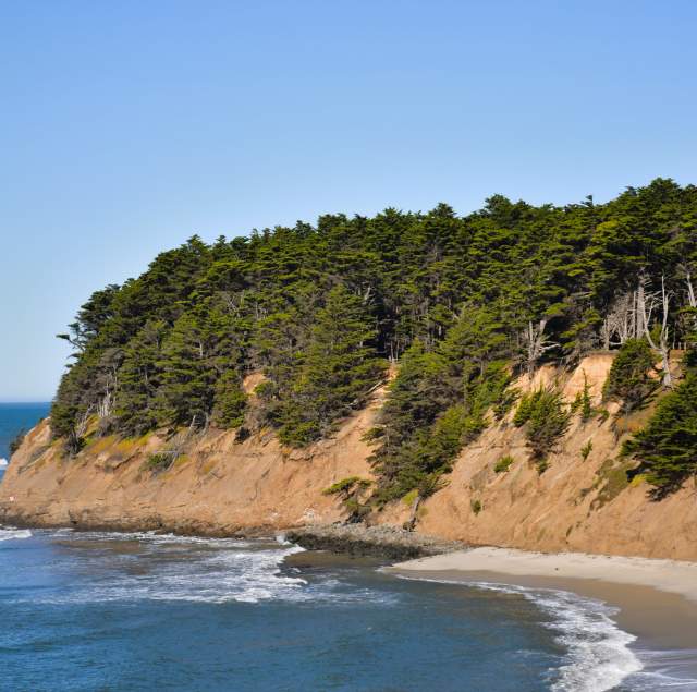Moss Beach Distillery