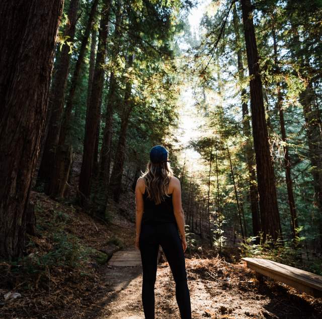 redwood-trails-canyon-ranch-woodside