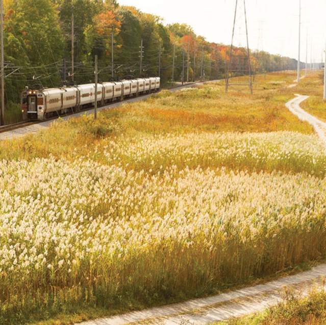 South Shore Train in the Fall by David Tribby