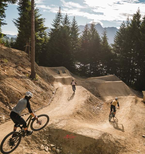 Wynyard Bike Park jump lines, Queenstown