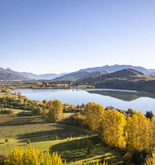 An aerial shot of Lake Hayes on an autumn day