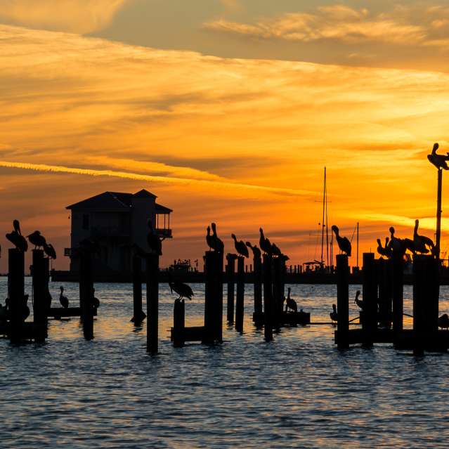 David Hilton pier sunset
