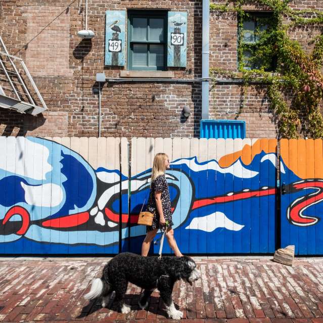 Fishbone Alley