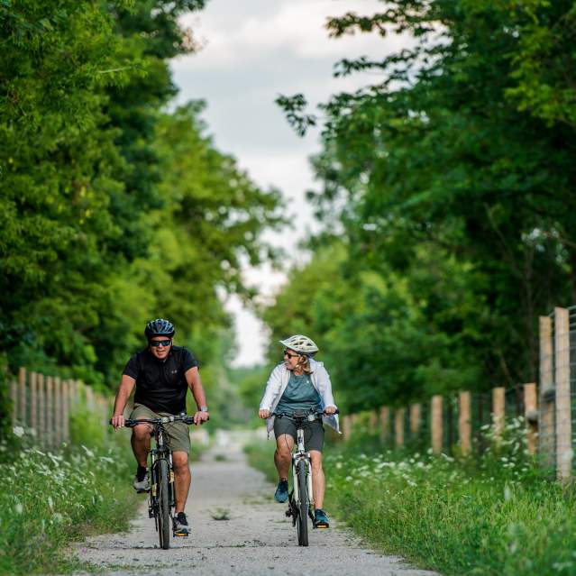 couple cycling on trail