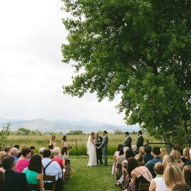 Ya Ya Farm & Orchard