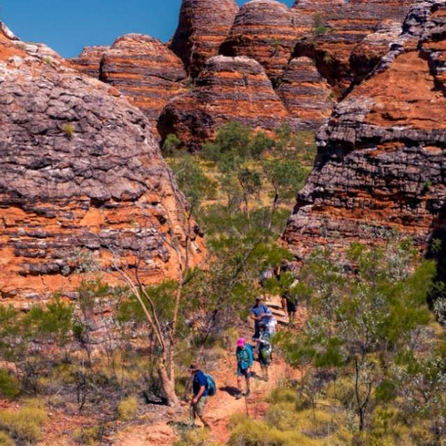 Discover more in the Bungles