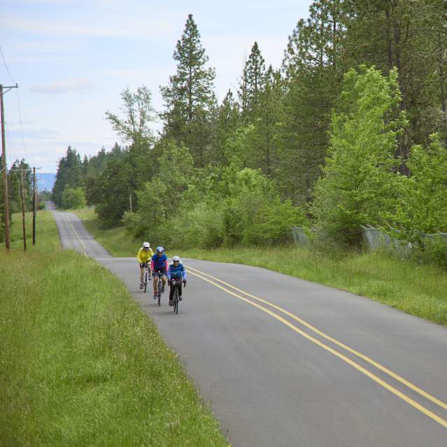 Three bicyclists along the road in the country.