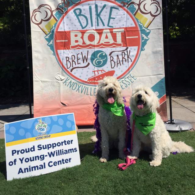 Bike boat brew bark dogs