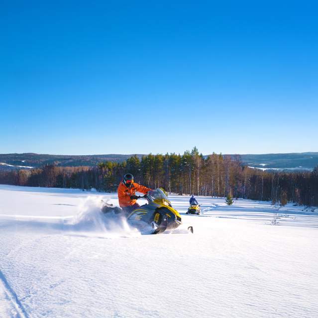 Snowmobiler on the Grand Mesa