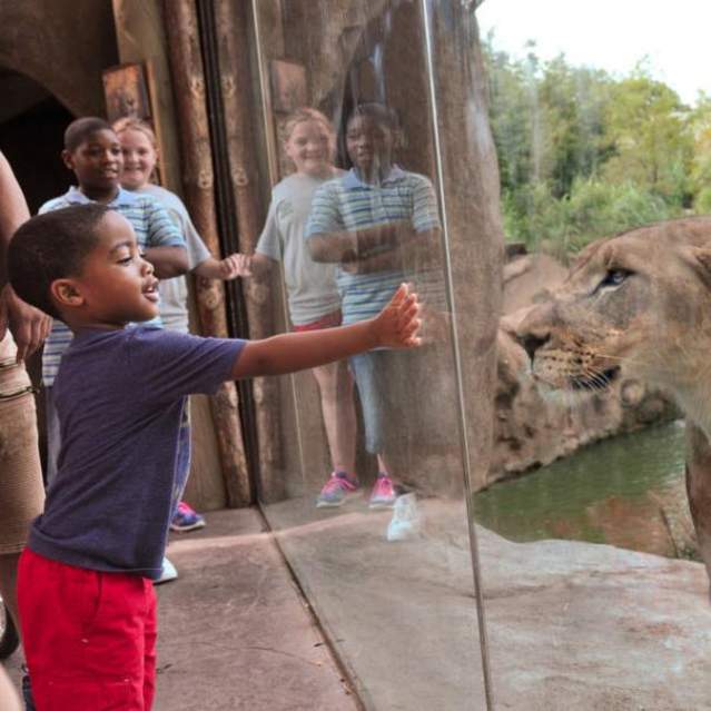 Cincinnati Zoo & Botanical Garden (photo: Kathy Newton)