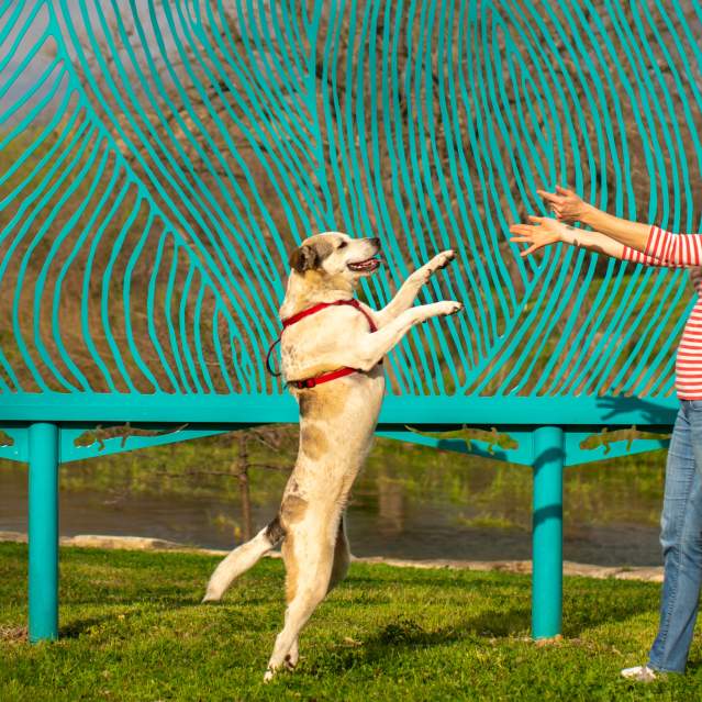 Woman with dog prancing in front of sculpture