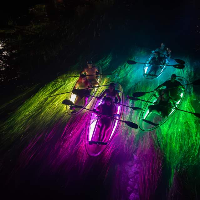 A group take a glow tour on the San Marcos River