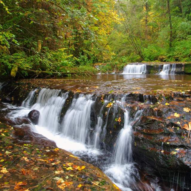 Sweet Creek Falls in Autumn by Adam Sawyer