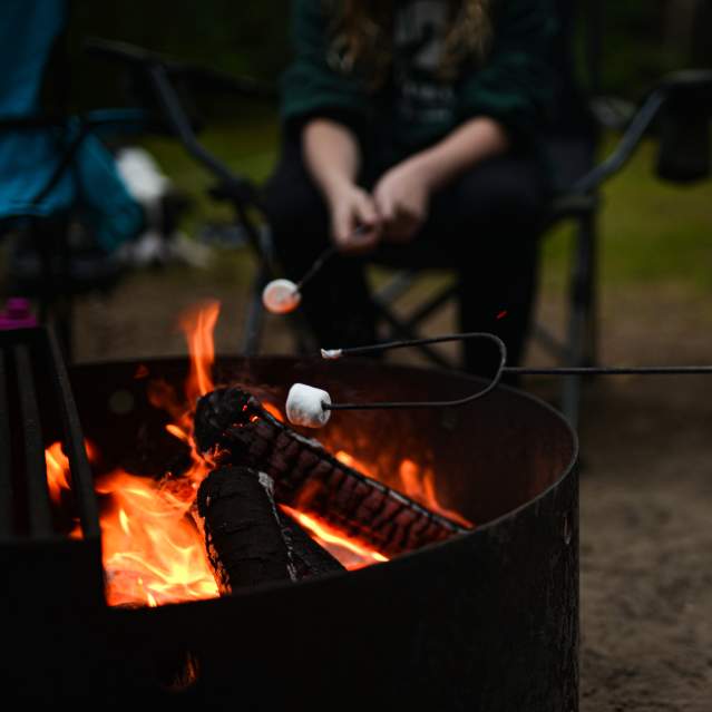 Camping and smores at Honeyman