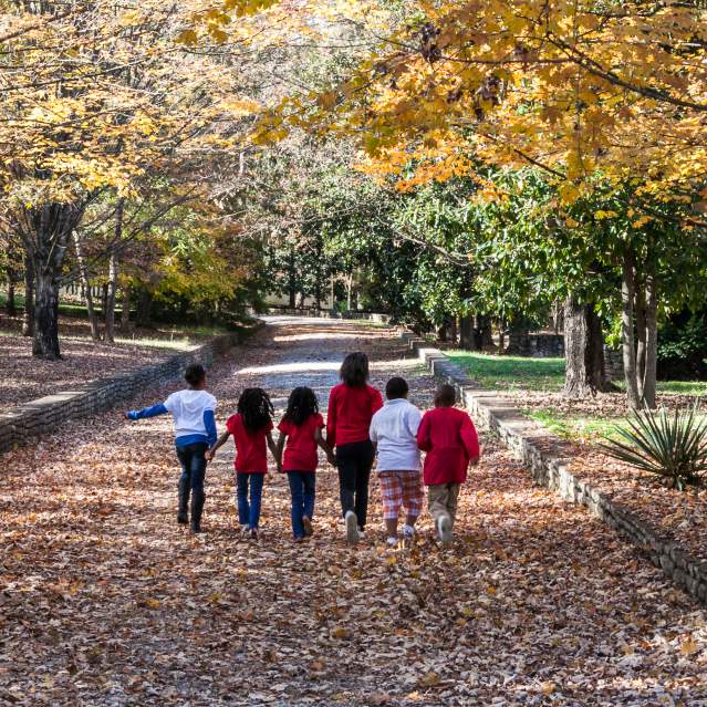 Knoxville Botanical Gardens