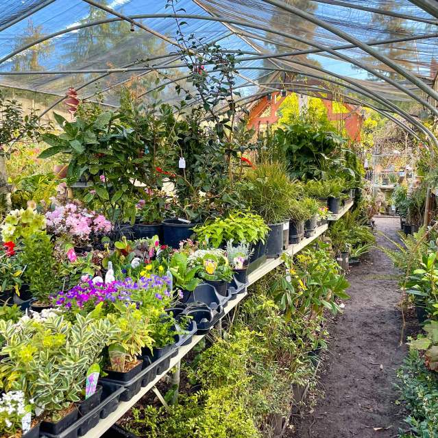 A covered aisle of indoor plants in the springtime.
