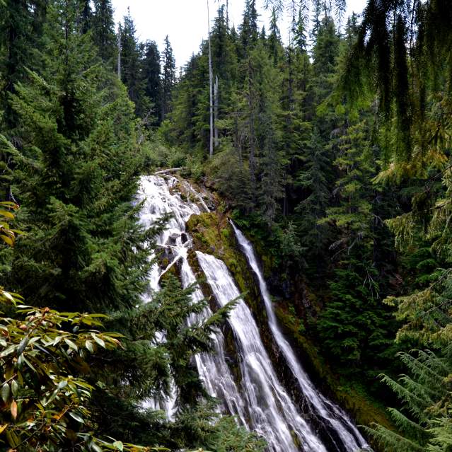 Diamond Creek Falls by Sally McAleer