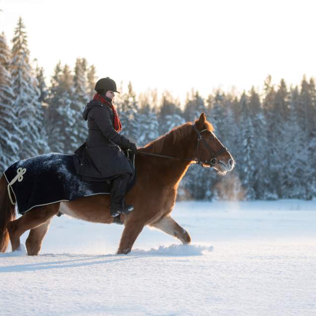 Woman Riding a Horse in Snow
