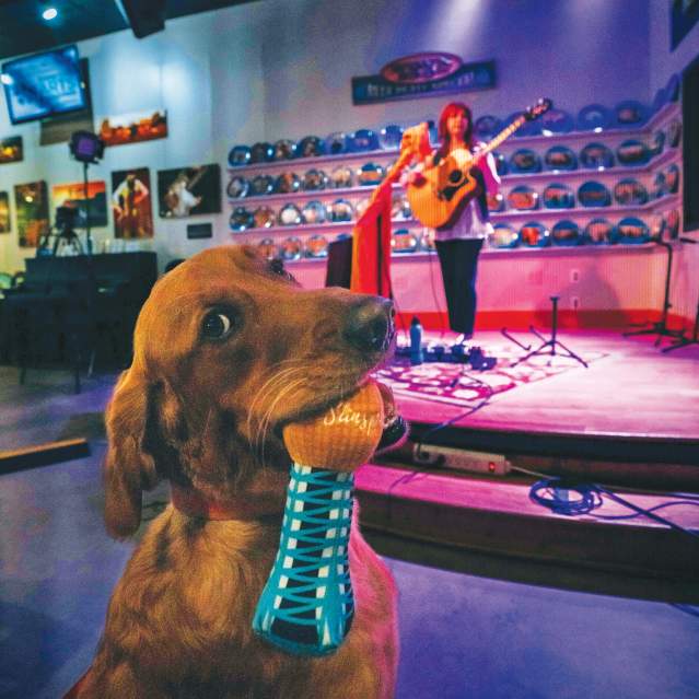 Barxville Hank the Dog