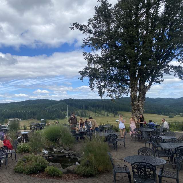 A brick patio with round metal tables and chairs, bushes and strung lights with people mingling and mountains and sky in background.