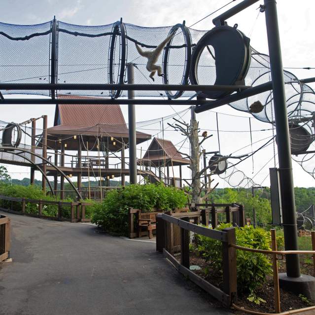 Asian Trek Zoo