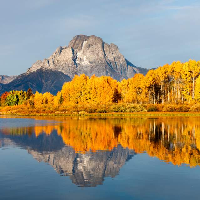 Mt Moran in the fall