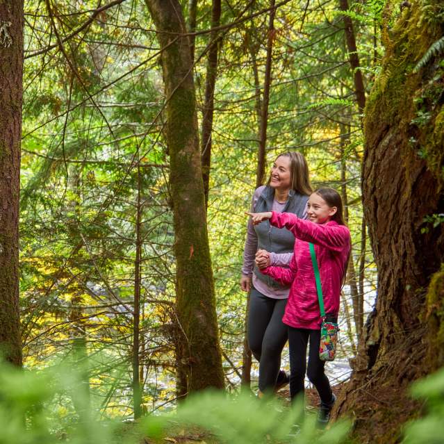 Hiking in the Cascades near Westfir
