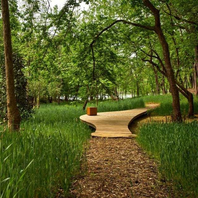 Pathway to the River