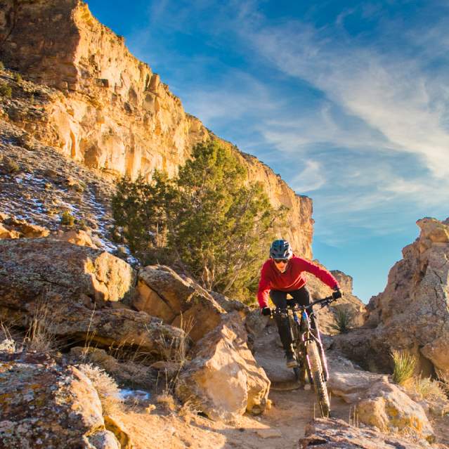 Mountain Biker Riding on Trails in the Winter