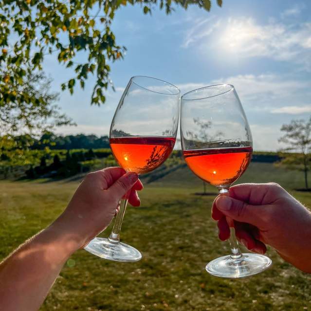 Wine at Folino Estate
