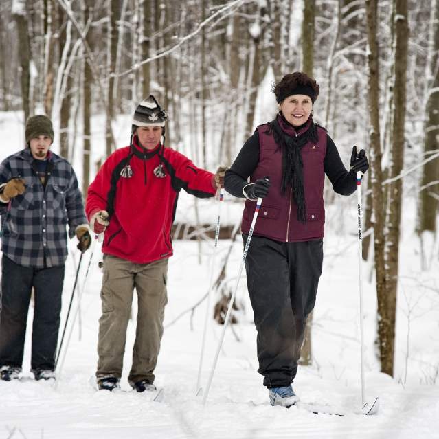 group Cross Country Skiing