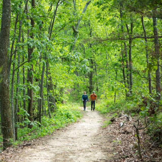 Enjoy a trek through one of the many beautiful trails in the Knoxville area.
